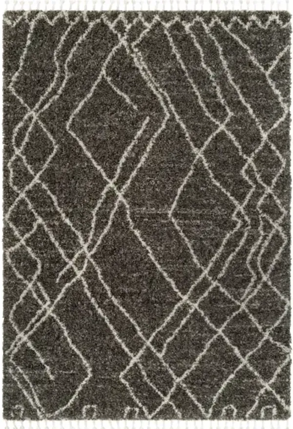 Jakarta JKT-2309 9'2" x 12' Machine Woven Rug
