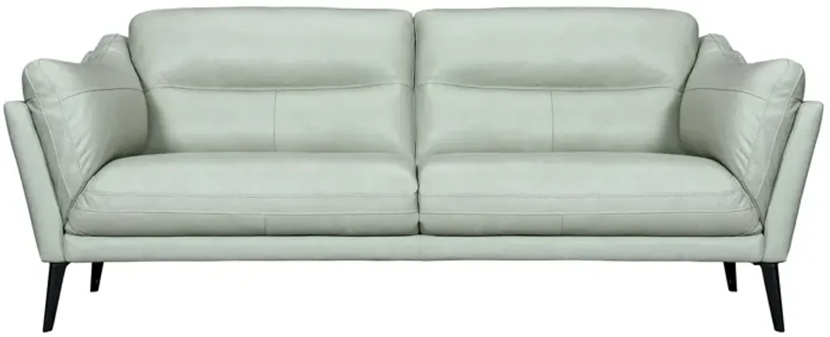 Franz Mint Leather Sofa