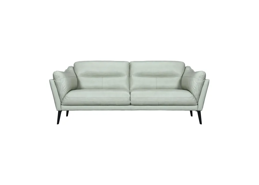 Franz Mint Leather Sofa