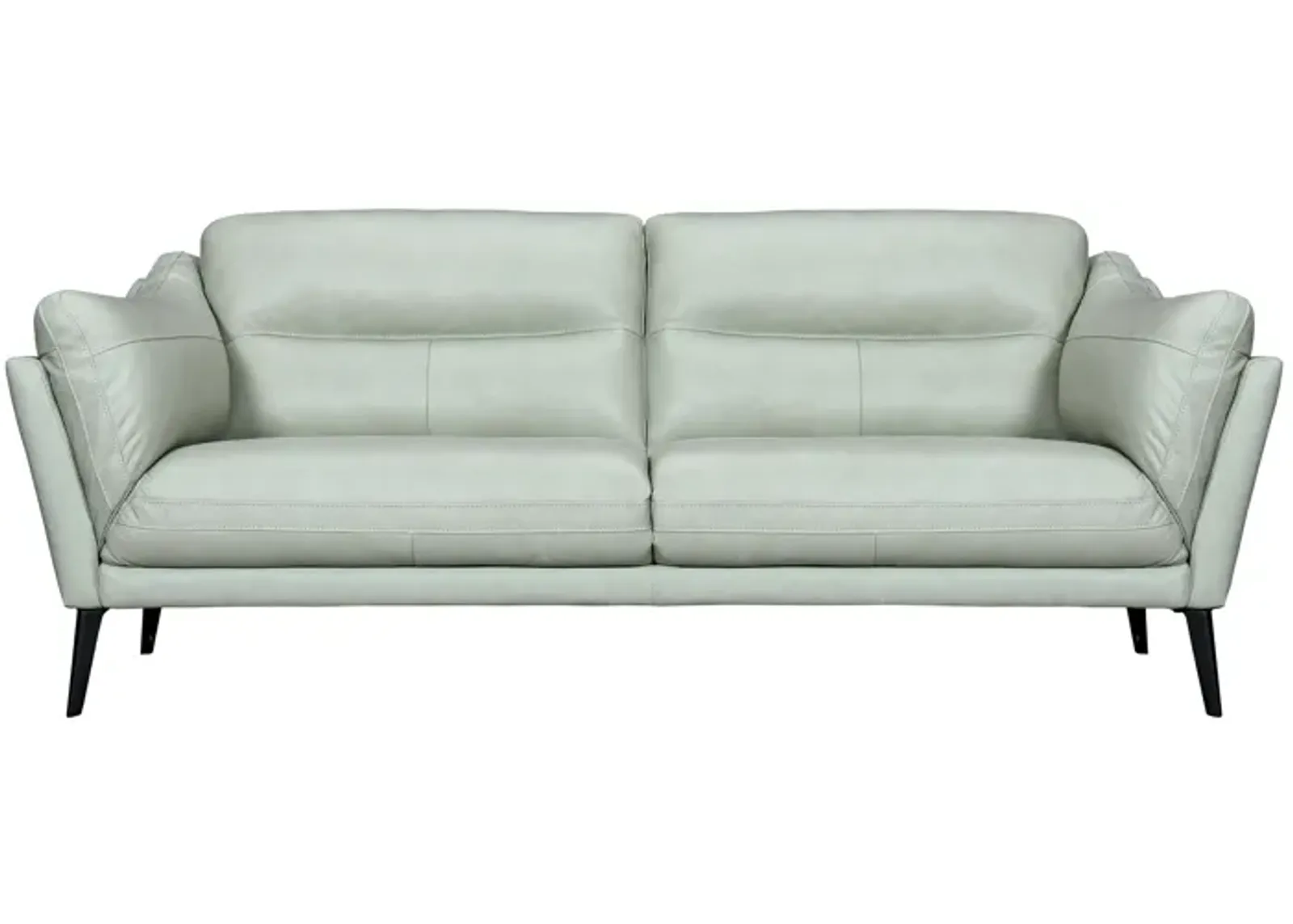 Franz Mint Leather Sofa