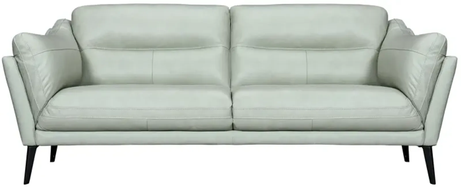 Franz Mint Leather Sofa