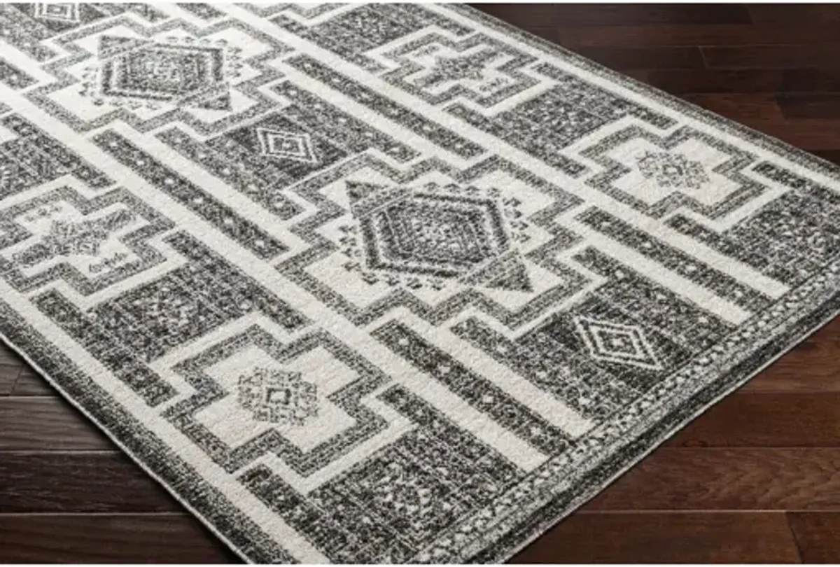 Positano PSN-2317 8'10" x 12' Machine Woven Rug