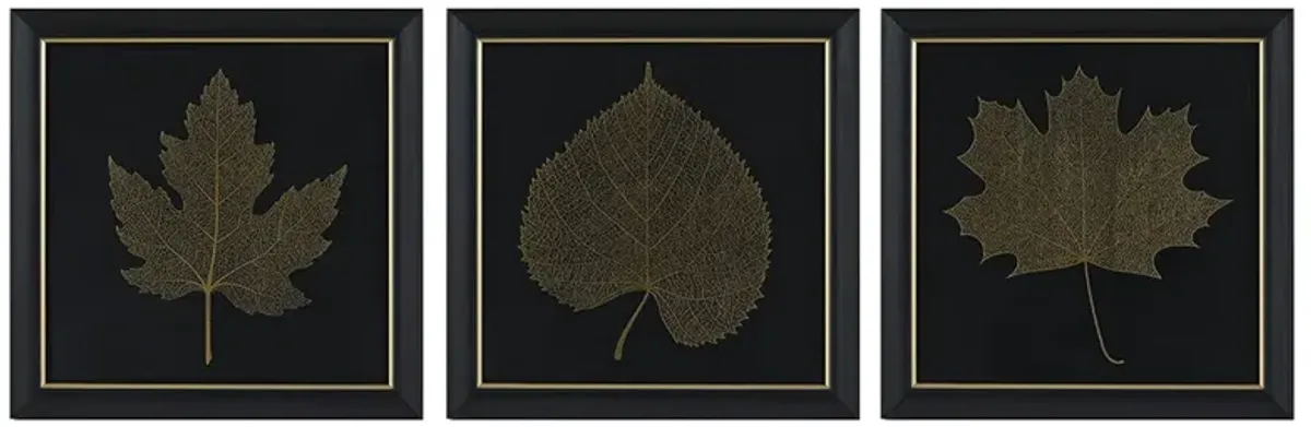 Gold Metallic Leaf Square Framed Graphic Wall Decor 3-Piece Set