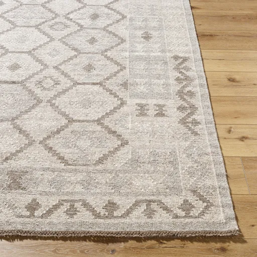 Tempe TPE-2302 9' x 12' Handmade Rug