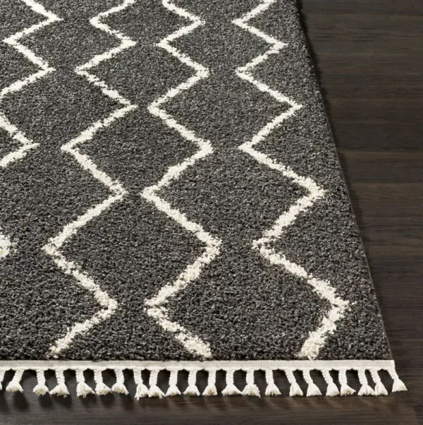 Berber Shag BBE-2306 3'11" x 5'7" Machine Woven Rug