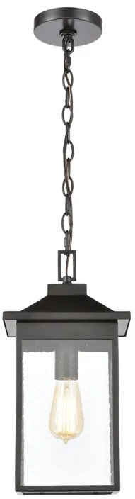 Lamplighter 8" Wide 1-Light Outdoor Pendant - Matte Black