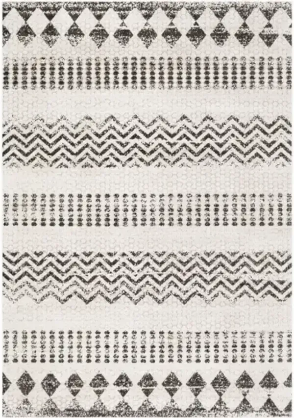 Rafetus 5'3" x 7'7" Rug