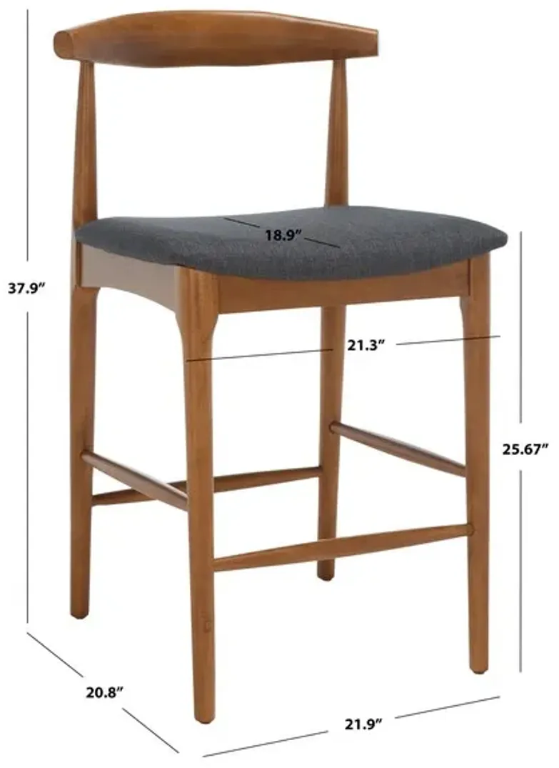 LIONEL RETRO COUNTER STOOL