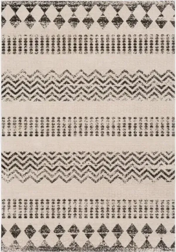 Rafetus 5'3" x 7'7" Rug