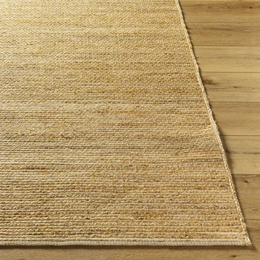 Aria IAA-1002 2' x 3' Hand Made Rug