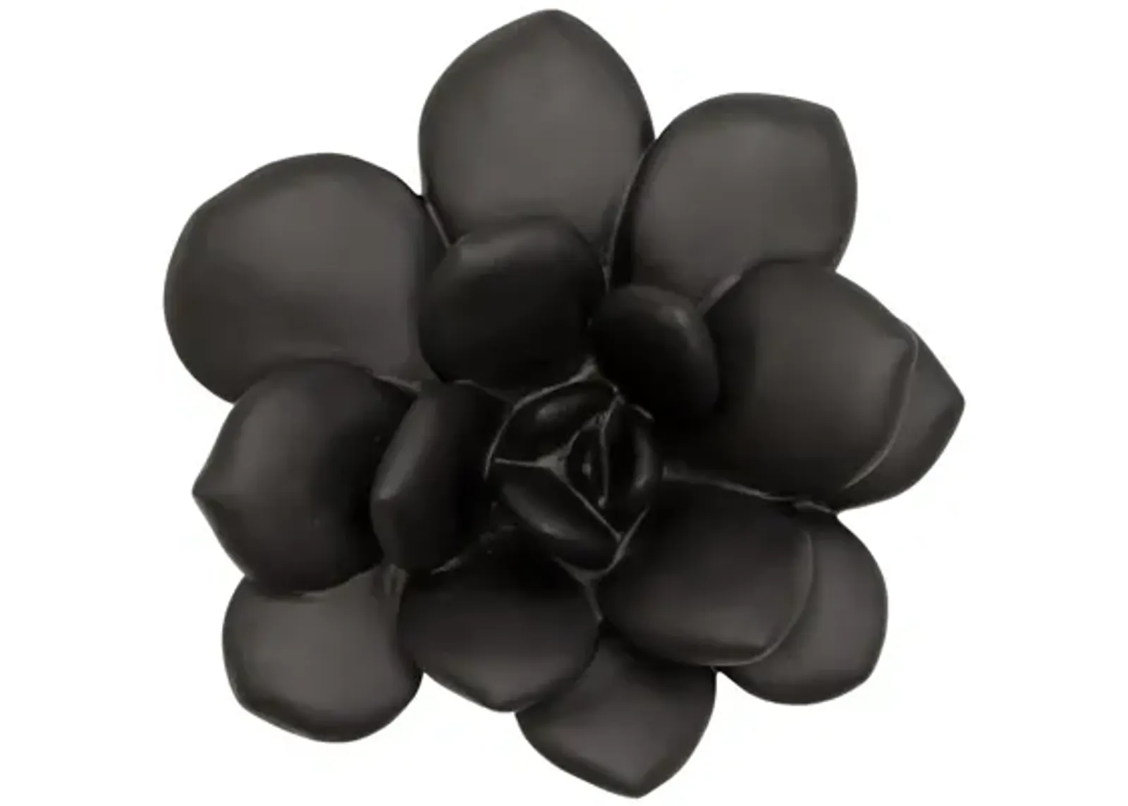 Laui Succulent Wall Art, Smooth Matte Black