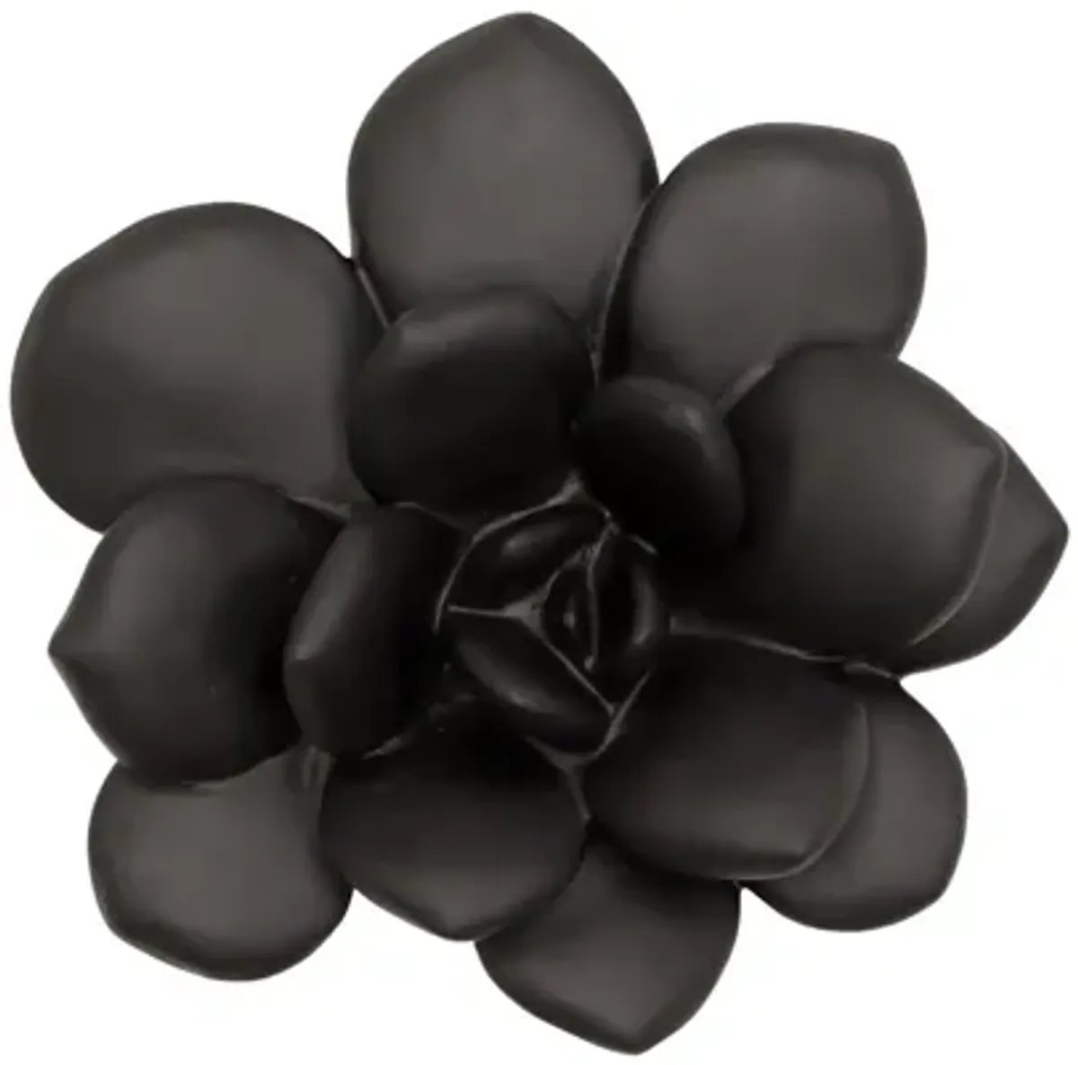 Laui Succulent Wall Art, Smooth Matte Black