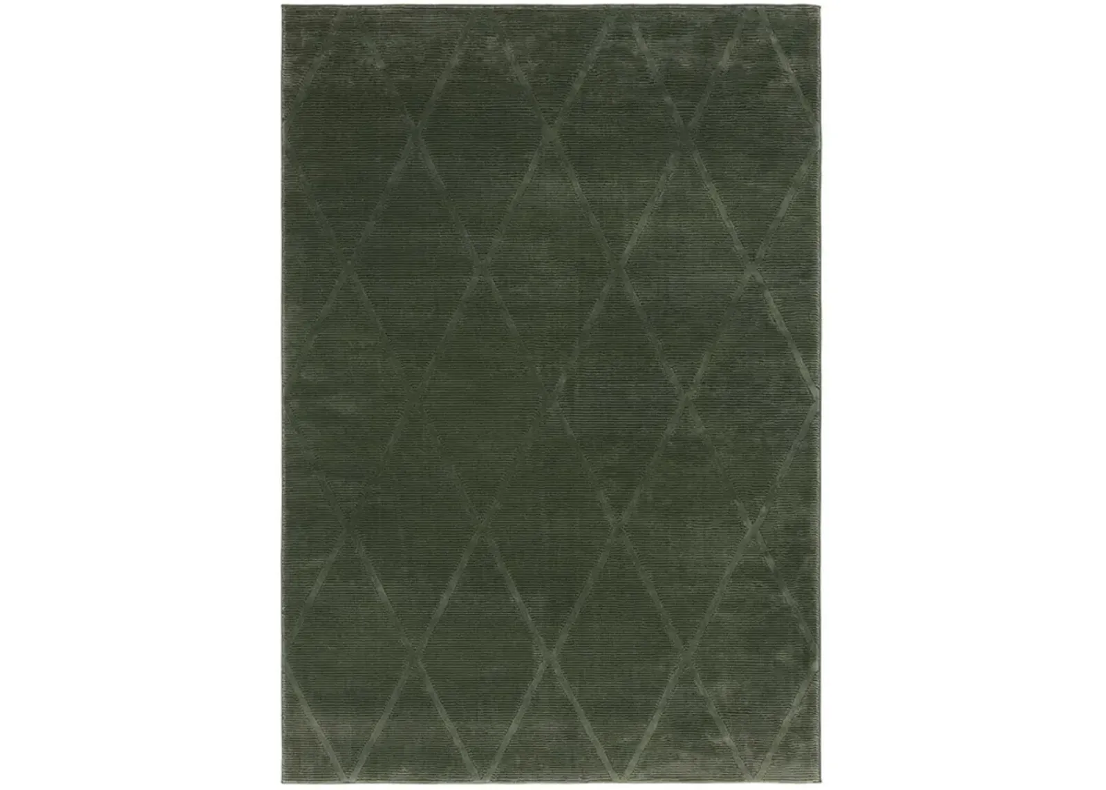 REVIVE 104 Green 2'-7' X 5' Small Rectangle Rug