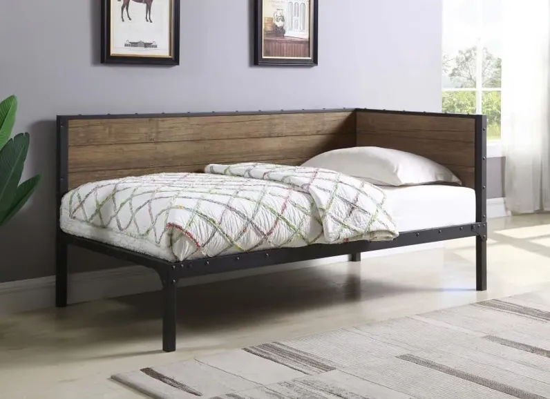 Aarav Daybed Weathered Chestnut And Black