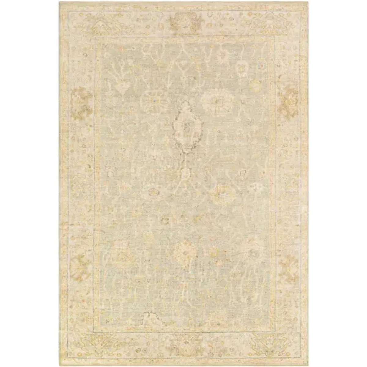 Normandy 4' x 6' Rug