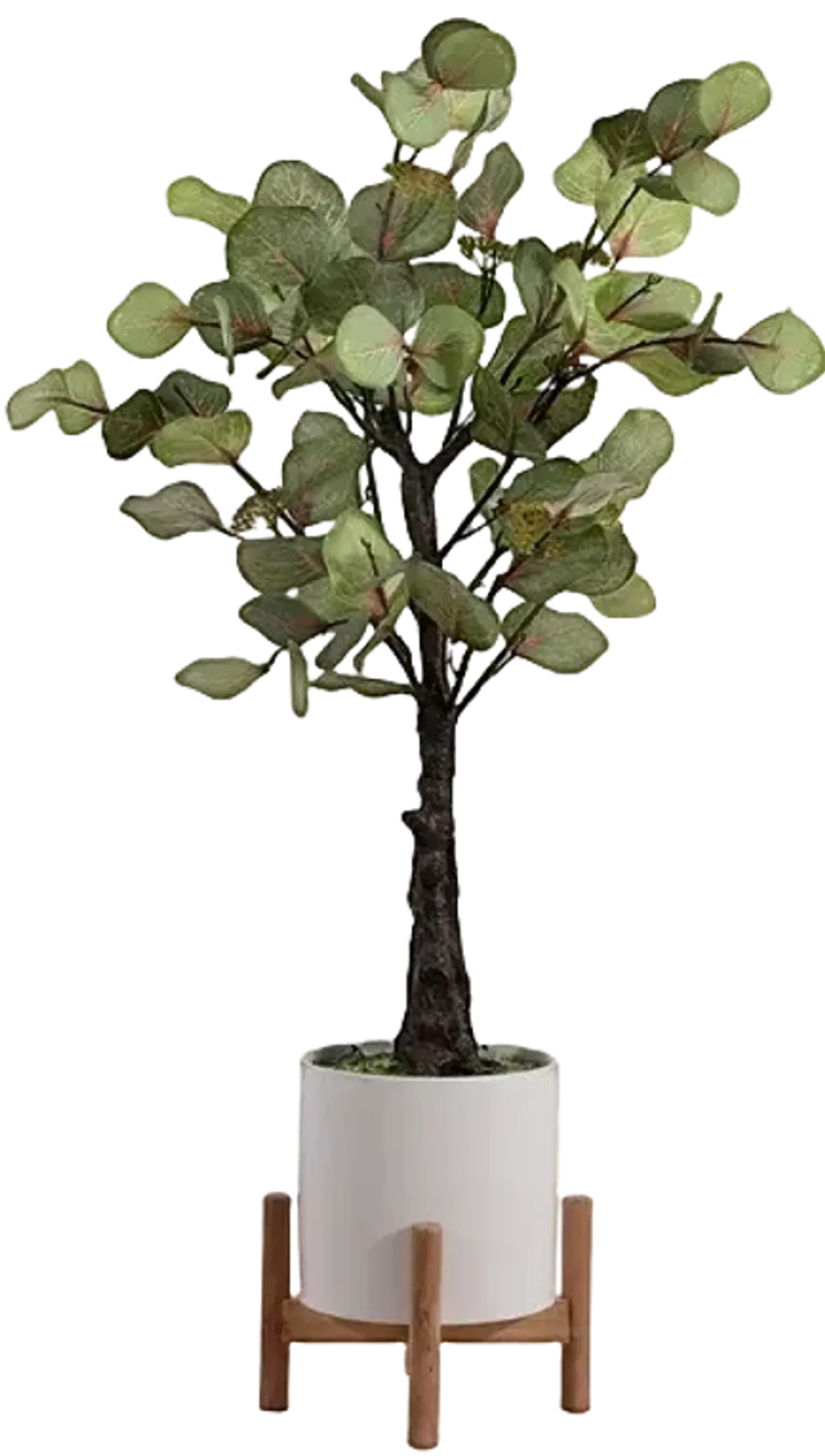 Faux Eucalyptus Potted Tree