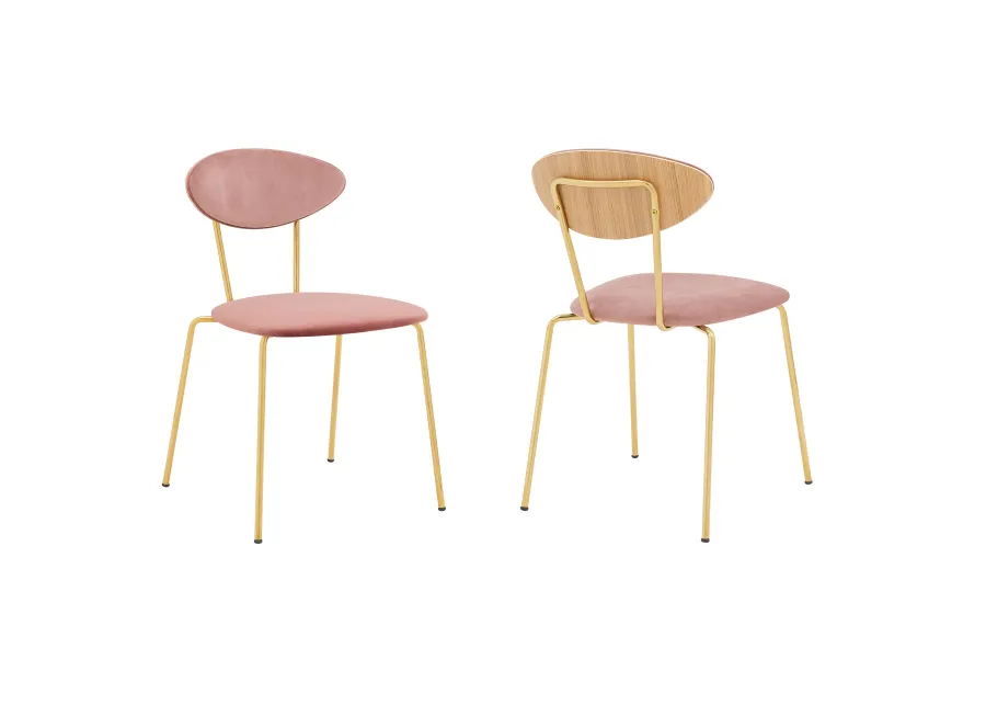 Neo Modern Dining Room Chairs - Set of 2