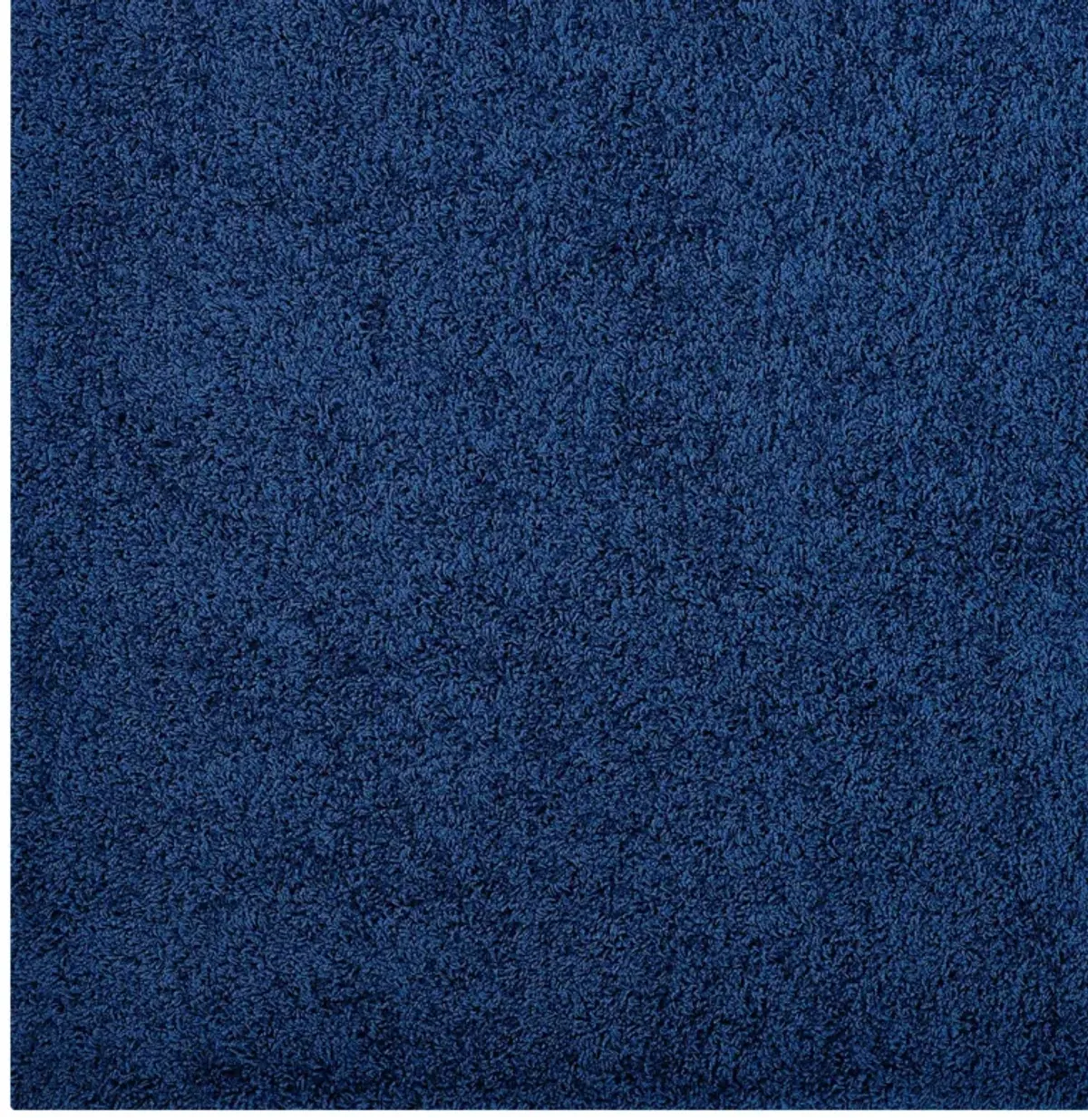 Enyssa Solid 5x8 Shag Area Rug