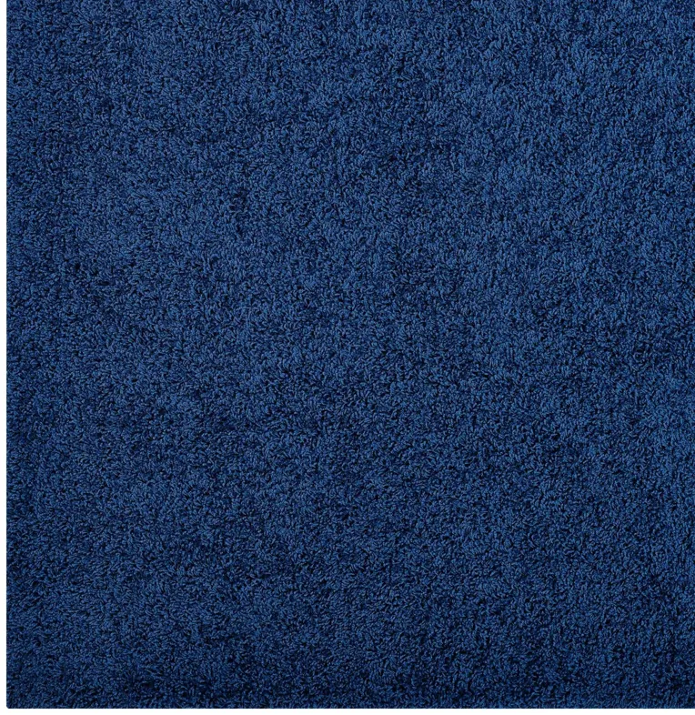 Enyssa Solid 5x8 Shag Area Rug