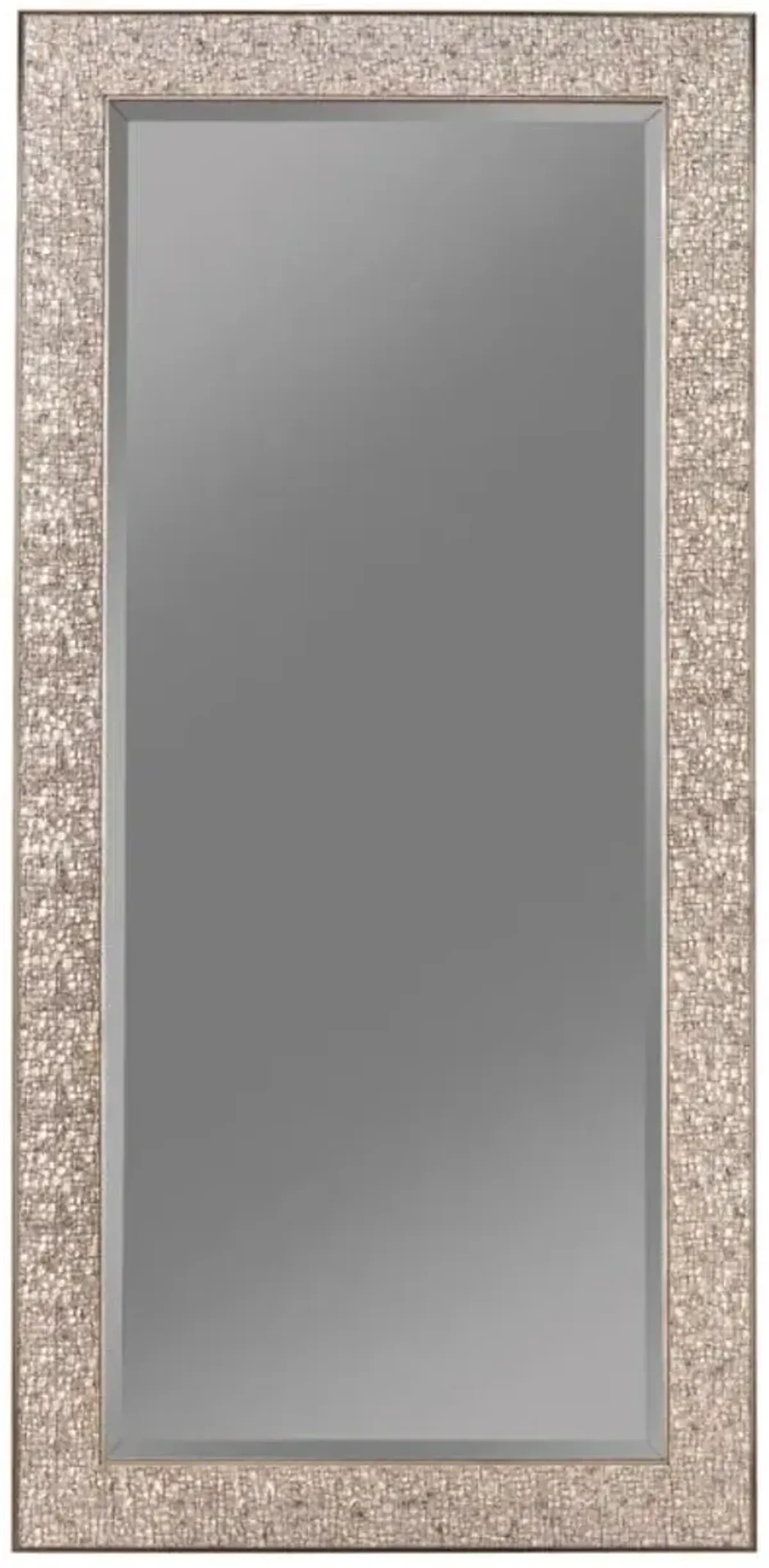 Rollins Rectangular Floor Mirror Silver Sparkle