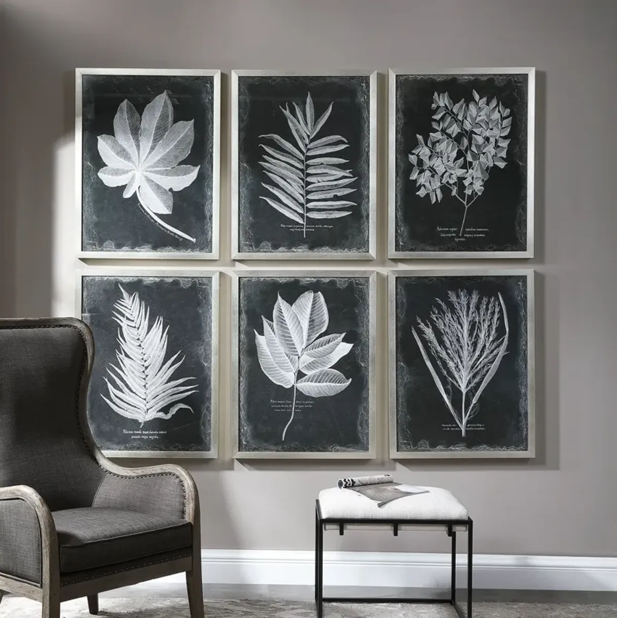 Foliage Framed Prints, S/6