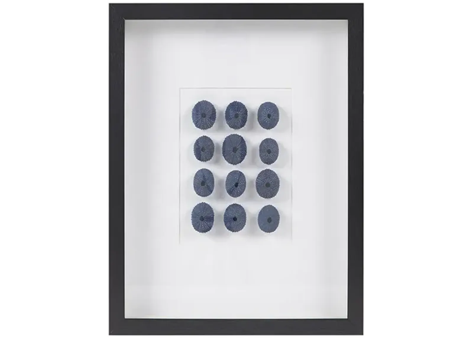 Martha Stewart Indigo Shells Blue Framed Sea Urchin Shadow Box Wall Decor