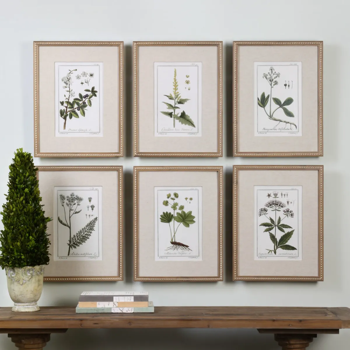 Green Floral Botanical Study Prints S/6