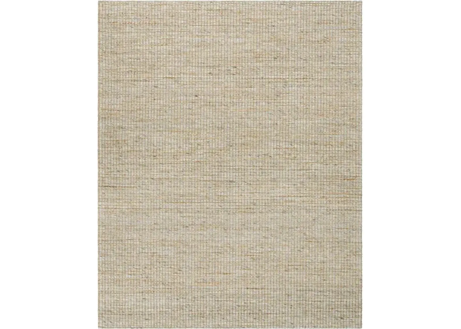 Priya PYA-2303 9' x 12' Hand Made Rug