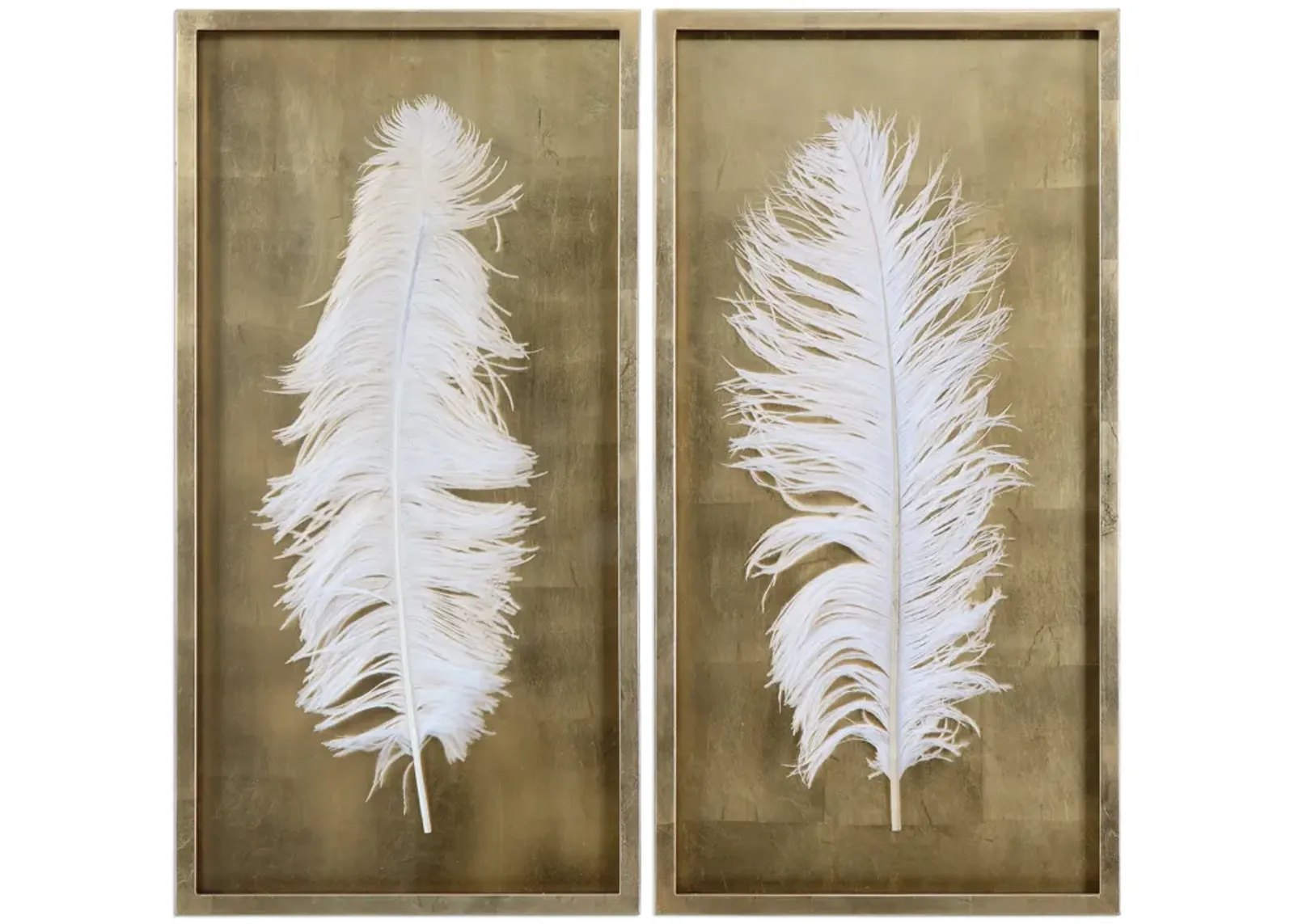 Feathers Shadow Box - Set of 2