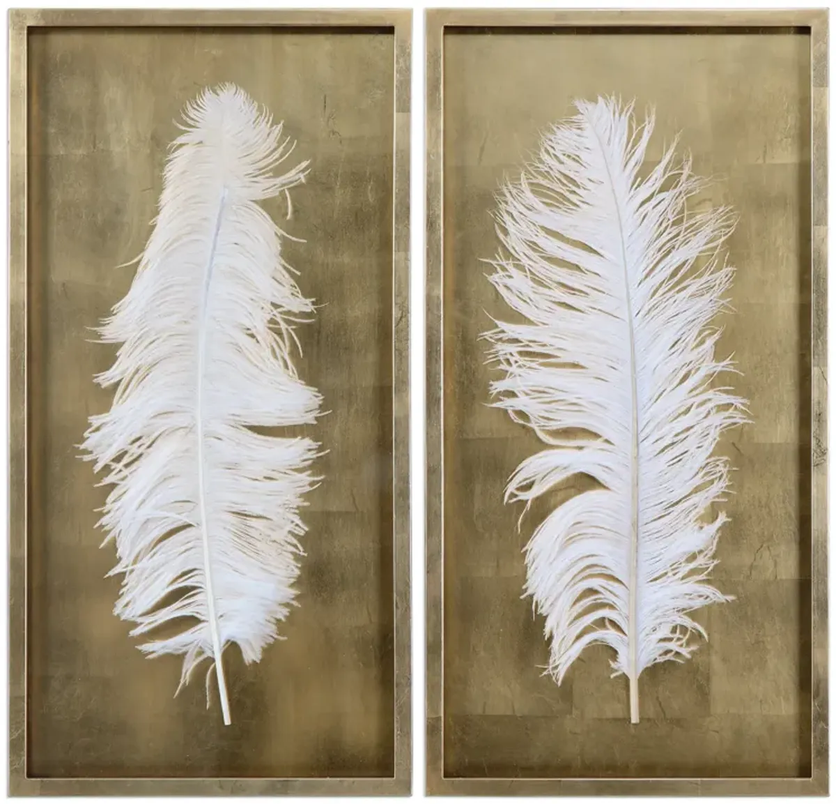 Feathers Shadow Box - Set of 2