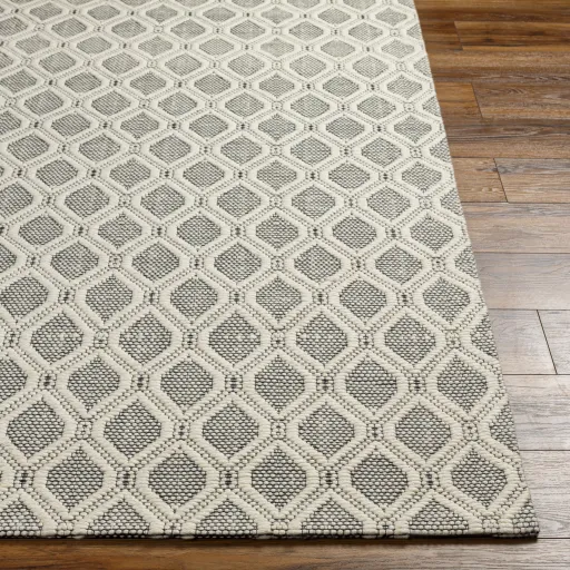 Nevada NVD-2300 27" x 45" Hand Made Rug