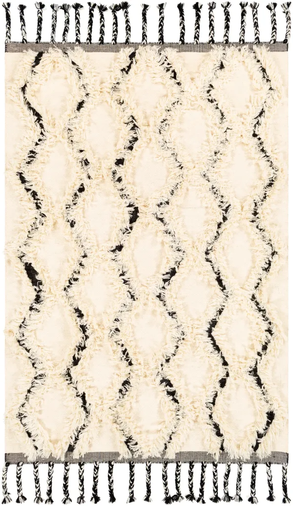 Apache 2' x 3' Rug