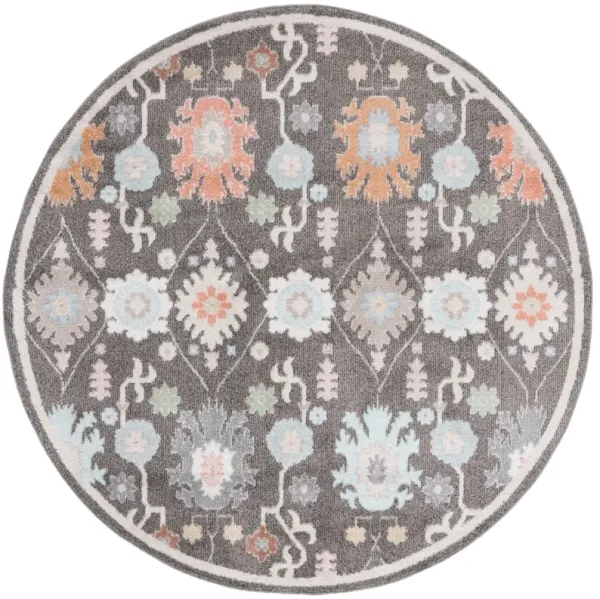 PHOENIX 560 DARK GREY  6'-7' x 6'-7' Round Round Rug