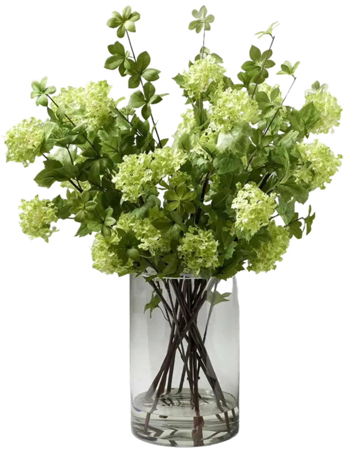 Cream/Green Snowball Branches with Green Foliage in Glass Cylinder