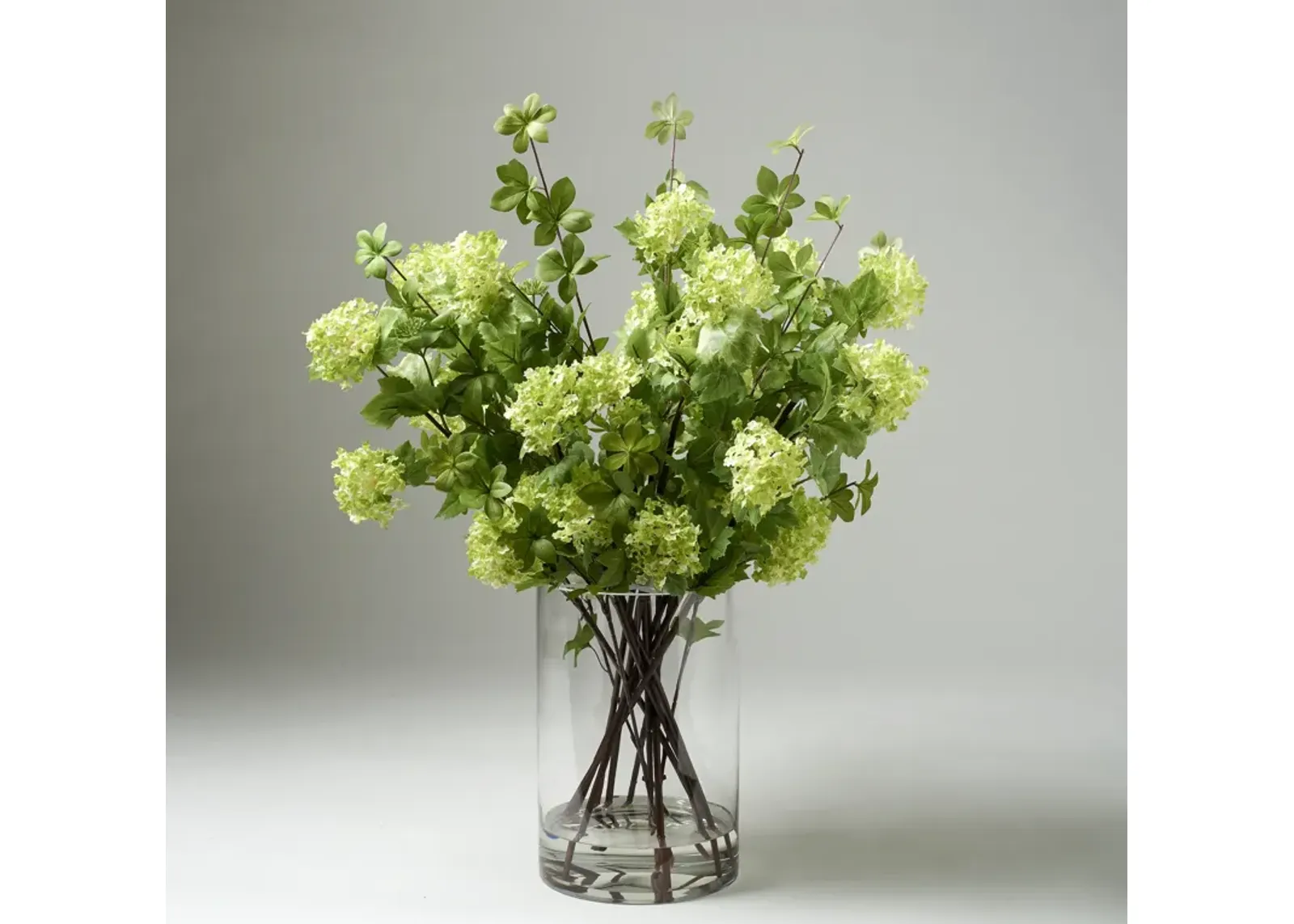 Cream/Green Snowball Branches with Green Foliage in Glass Cylinder