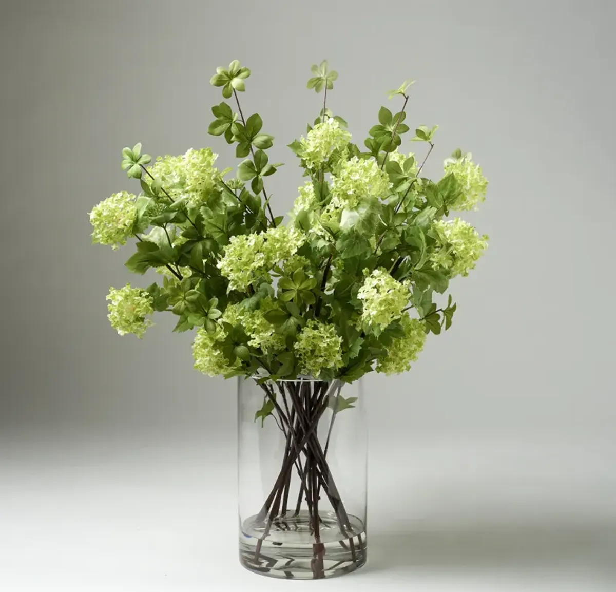 Cream/Green Snowball Branches with Green Foliage in Glass Cylinder