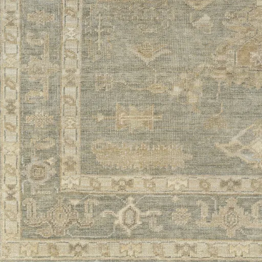 Antalya AAT-2306 8' x 10' Handmade Rug