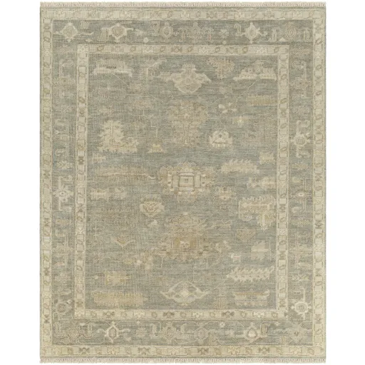 Antalya AAT-2306 8' x 10' Handmade Rug