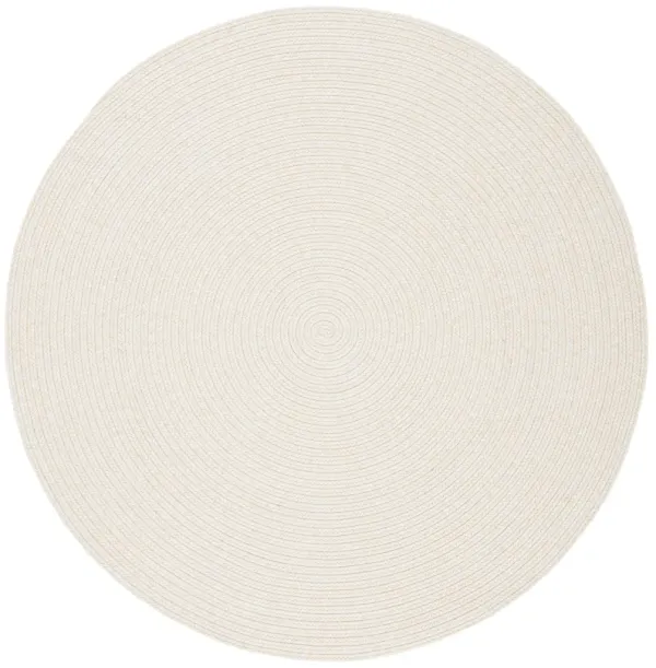 BRAIDED Hand Woven 9' x 9' Round area rug