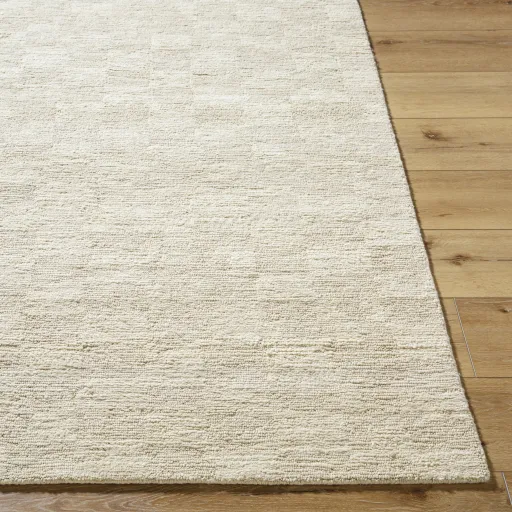 Ventura VNR-2301 6' x 9' Handmade Rug