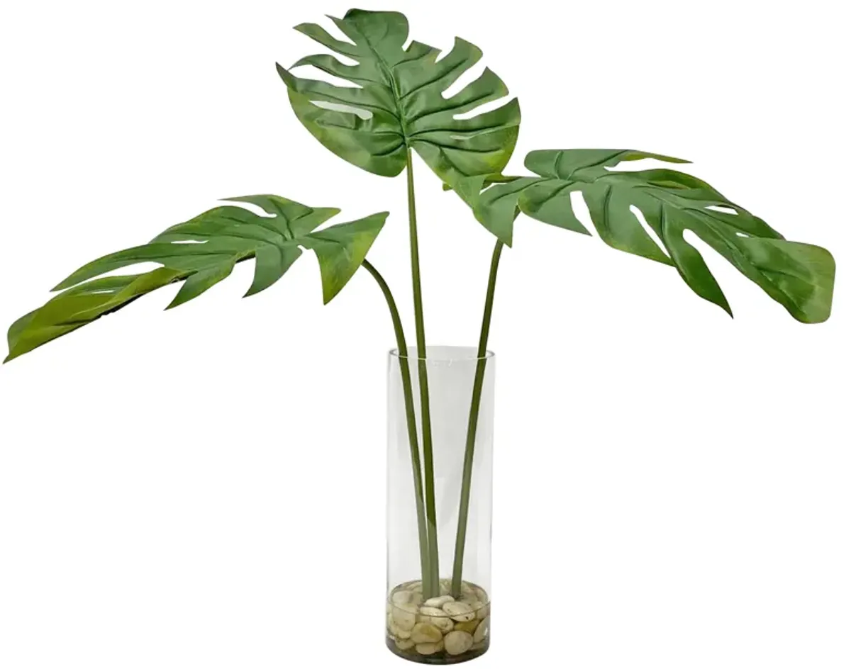 Ibero Split Leaf Palm