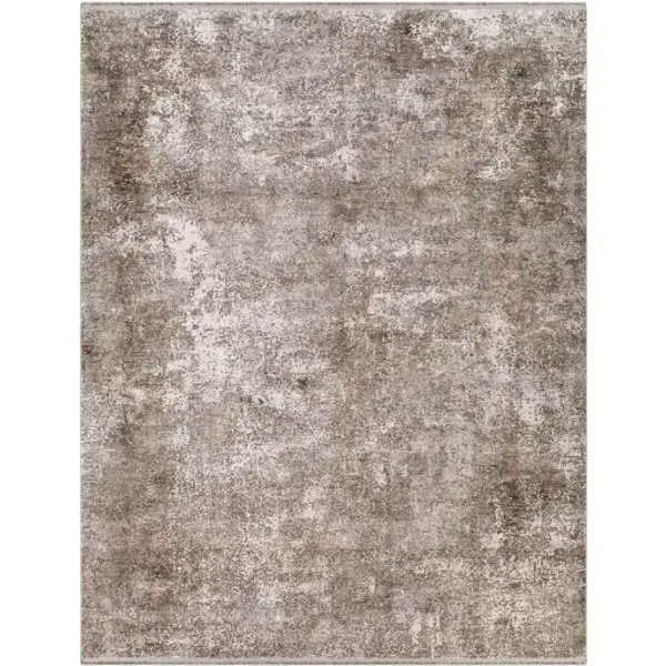 Eclipse 2' x 3'3" Rug