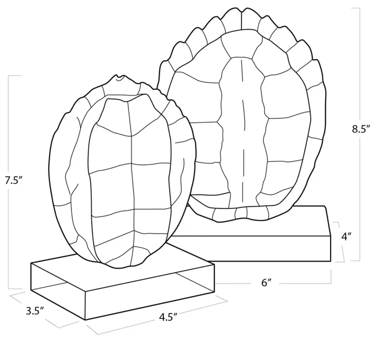 Turtle Shells On Crystal (Set of 2)