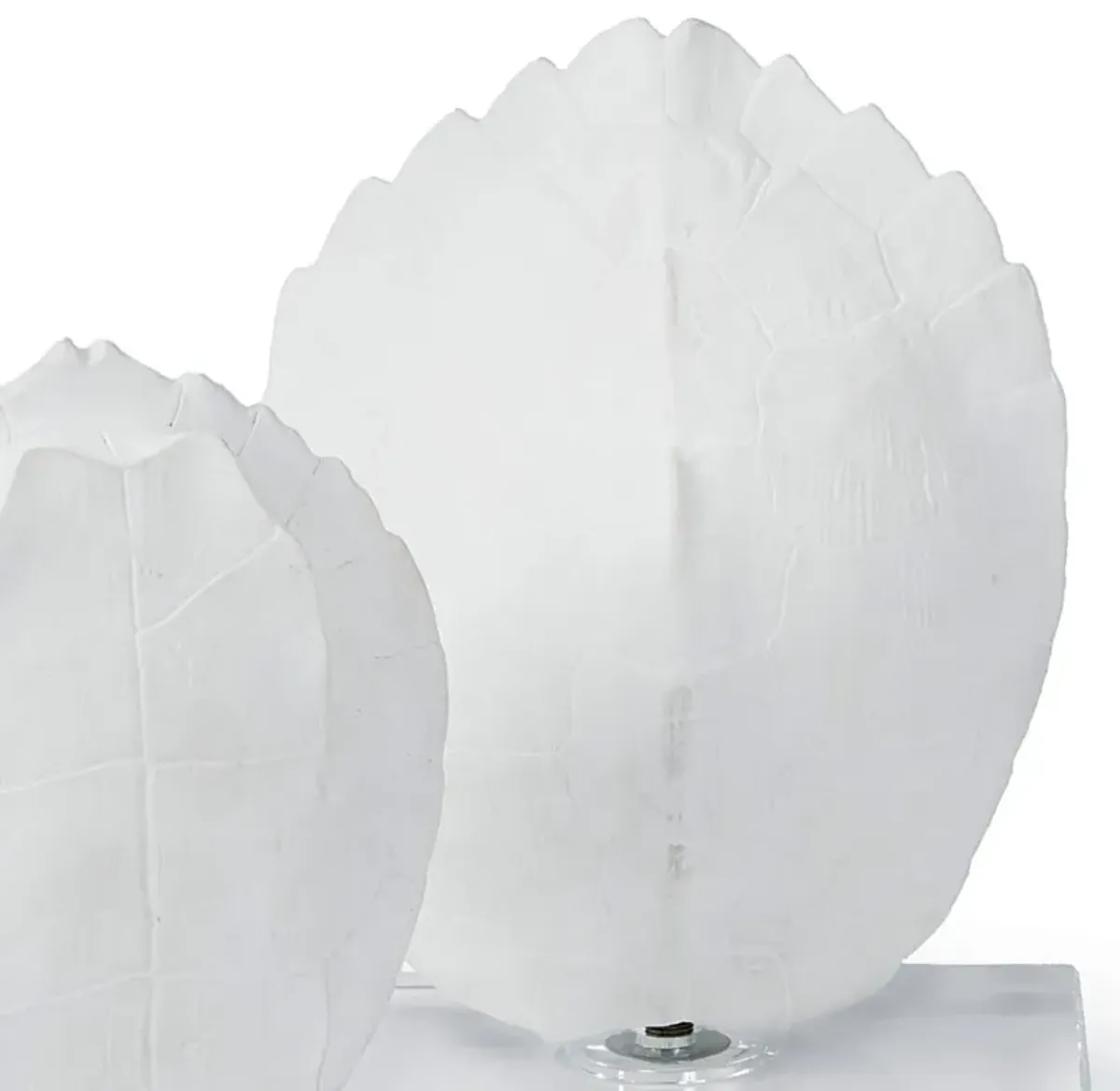 Turtle Shells On Crystal (Set of 2)