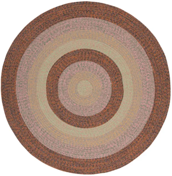 BRAIDED Hand Woven 5' x 5' Round area rug
