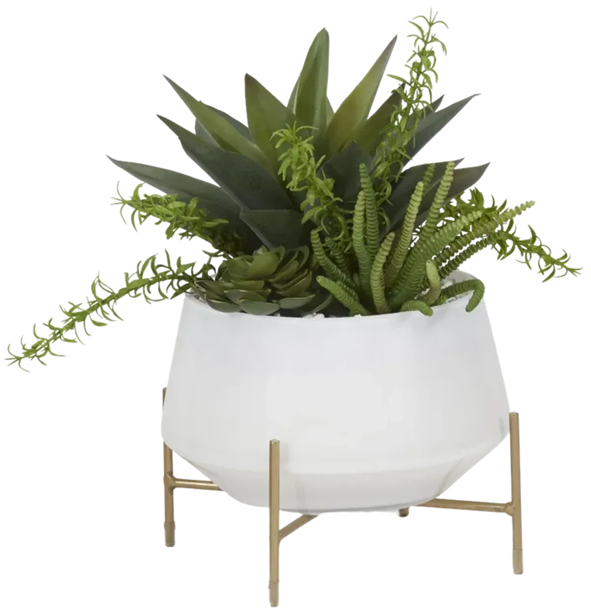 Aloe And Succulents in Bowl with Stand