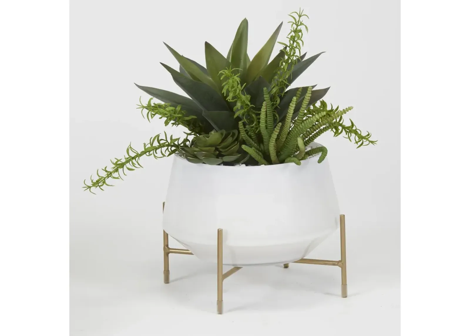 Aloe And Succulents in Bowl with Stand