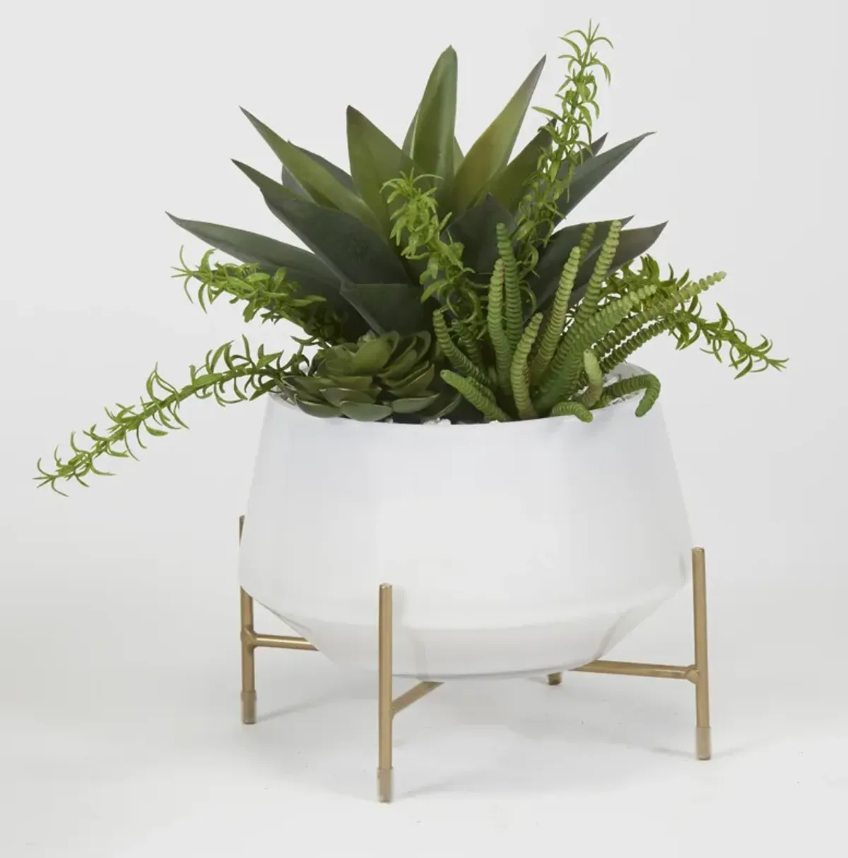 Aloe And Succulents in Bowl with Stand