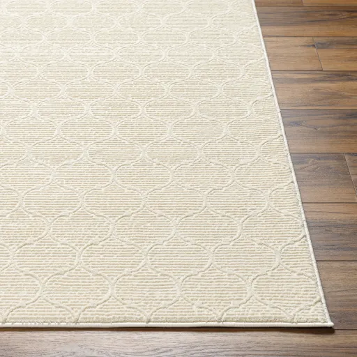 Alder ALD-2307 1'11" x 3'9" Machine Woven Rug