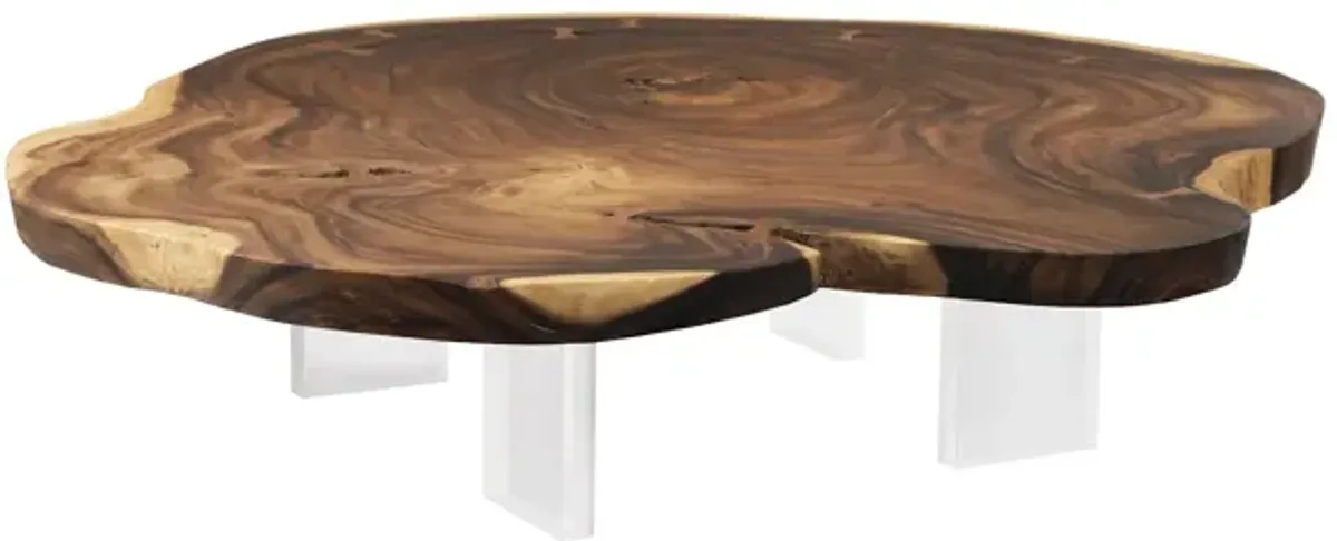 Floating Coffee Table with Acrylic Legs, Natural, Size Varies